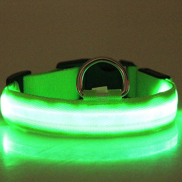 LED Luminous Pet Dog Collar Night Pawtivo