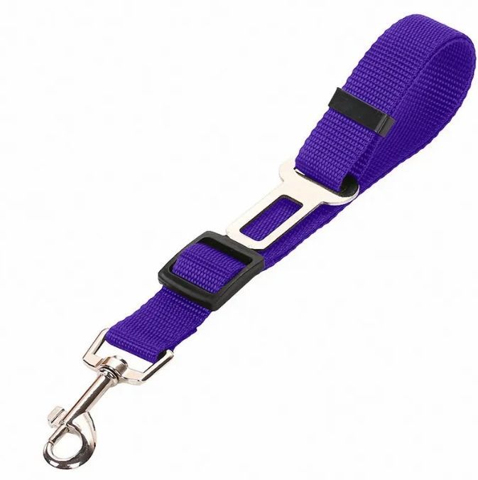 Purple dog leash with metal clip on a white background