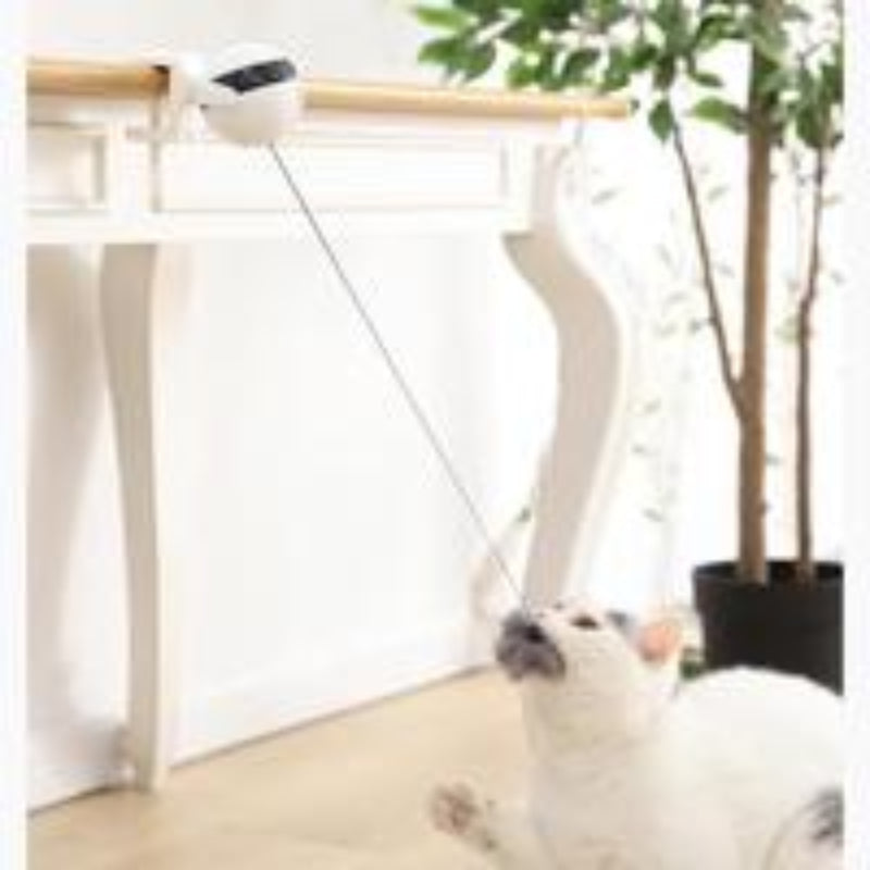 Cat toy with rope and fur ball attachment