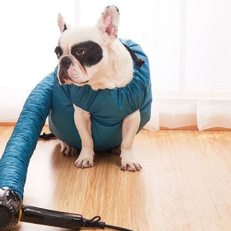 Dog wearing a blue sweater with a hair dryer on a wooden floor