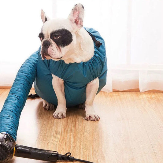 Dog wearing a blue sweater with a hair dryer on a wooden floor