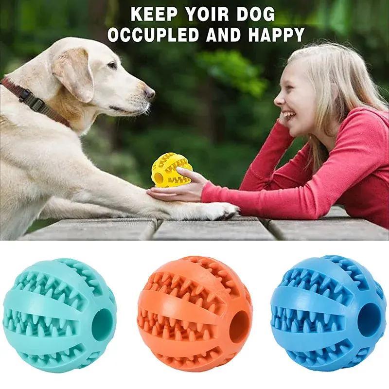 Dog playing with a yellow ball held by a person, with text 'Keep your dog occupied and happy'. Below are three colorful dog toys.