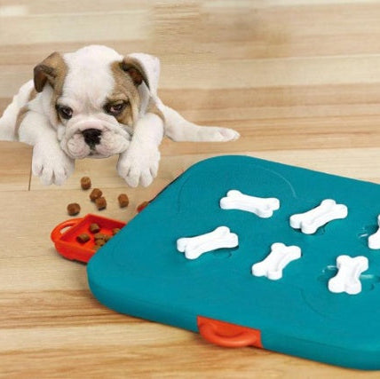 Treasure hunt puzzle toy for dogs