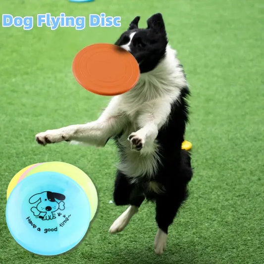 silicone dog frisbee safe and flexible